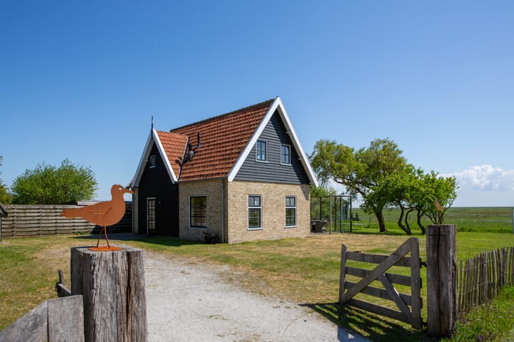 Lies 36-4 dans Lies photo