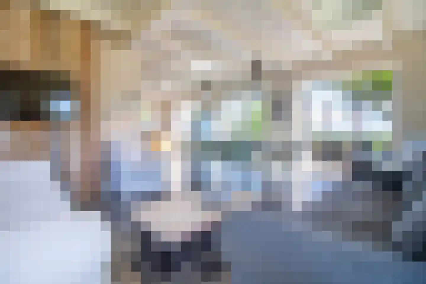 Lies 36 4 Lies thumbnail 11