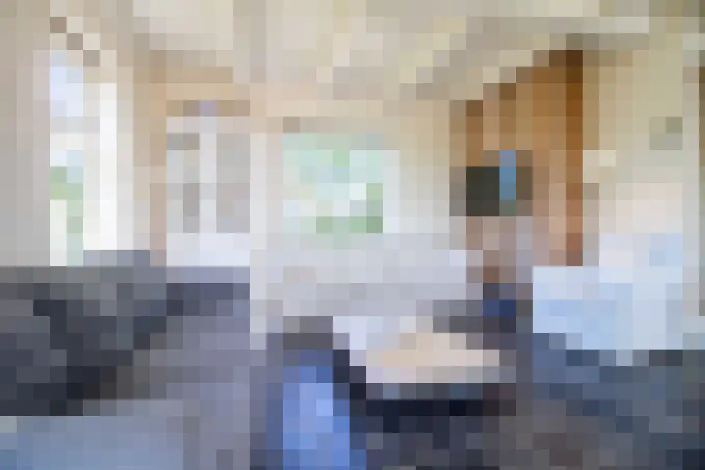 Lies 36 4 Lies thumbnail 12