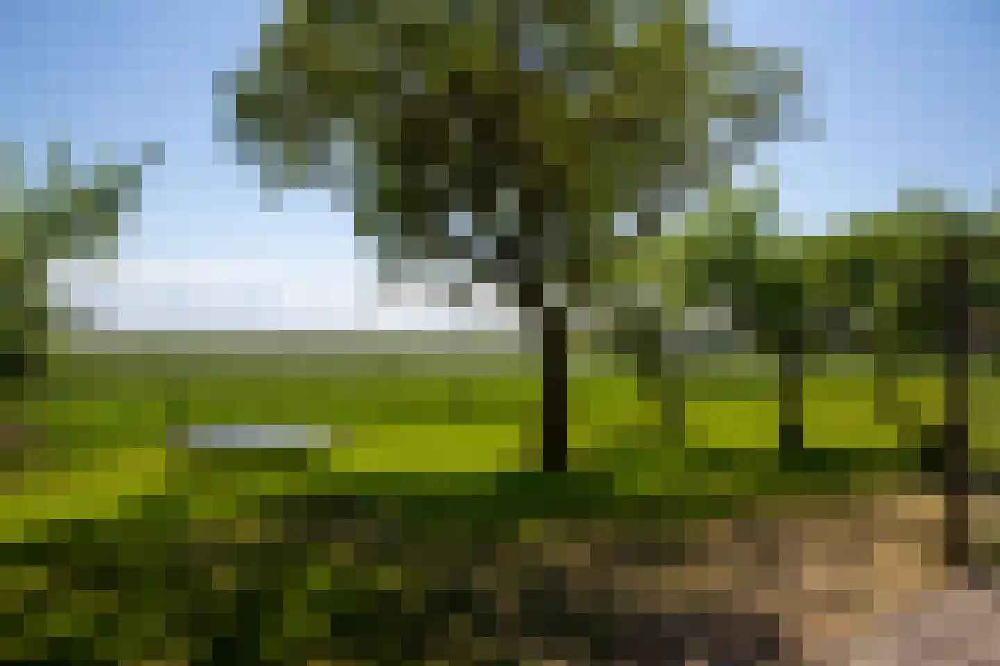 Lies 36 4 Lies thumbnail 39