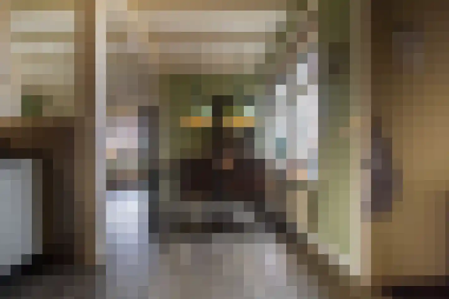 Lies 36 Lies thumbnail 13