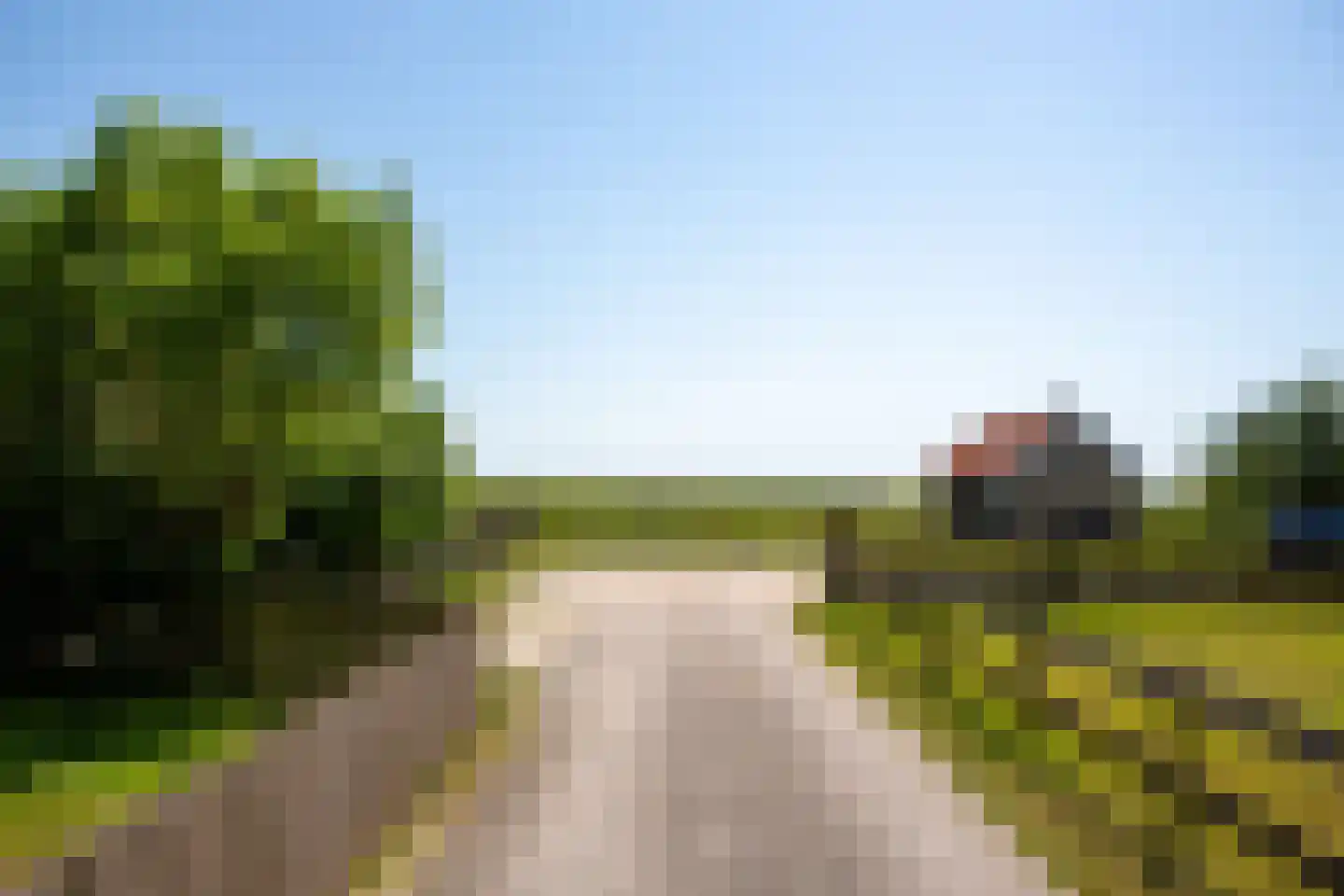 Lies 36 Lies thumbnail 41