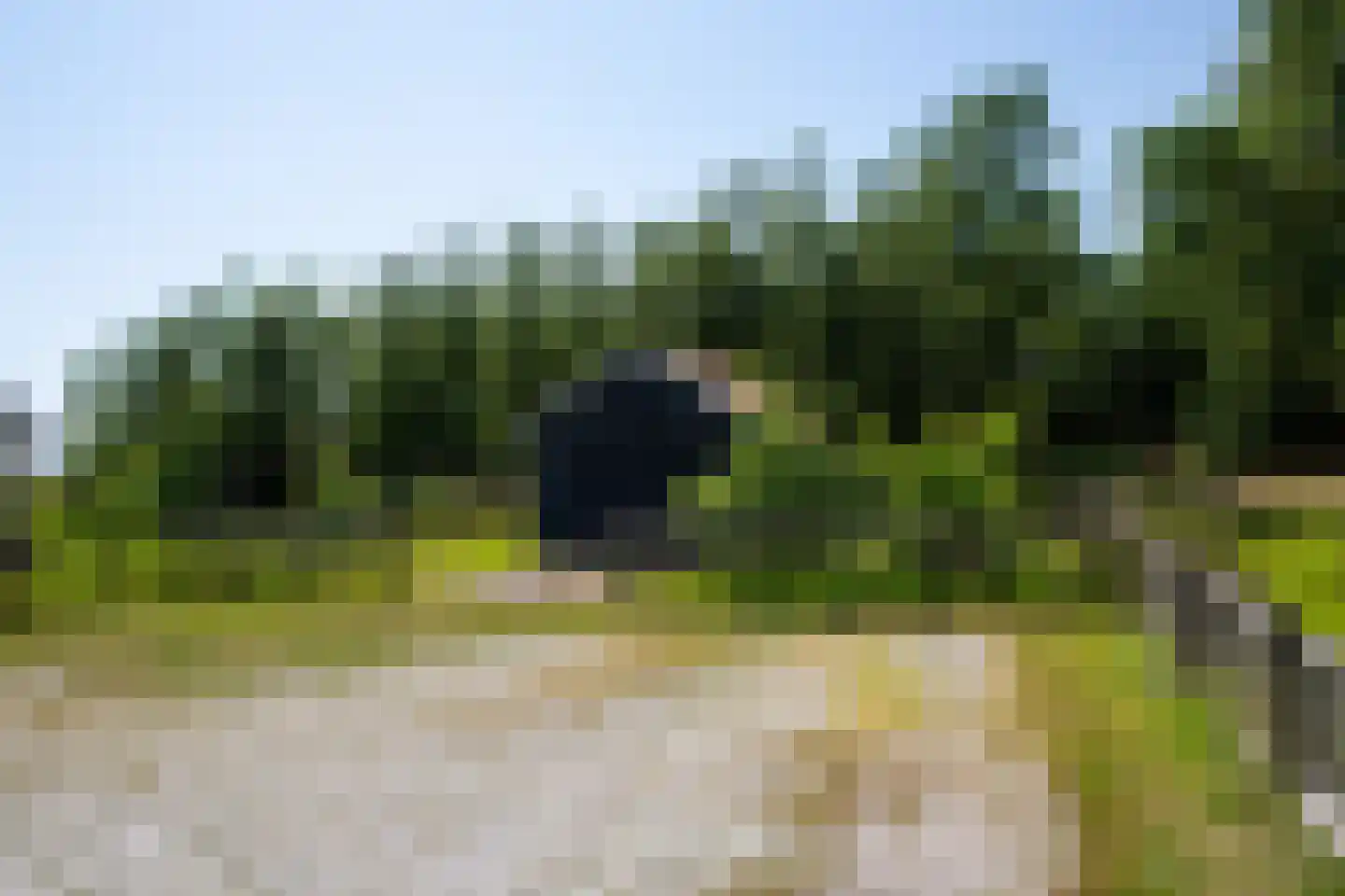 Lies 36 Lies thumbnail 42