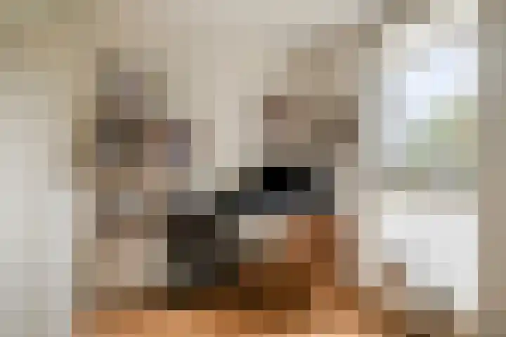 Lies de Kruijffgaarde 16 Nuenen thumbnail 19