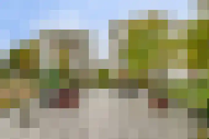 Lies de Kruijffgaarde 16 Nuenen thumbnail 23