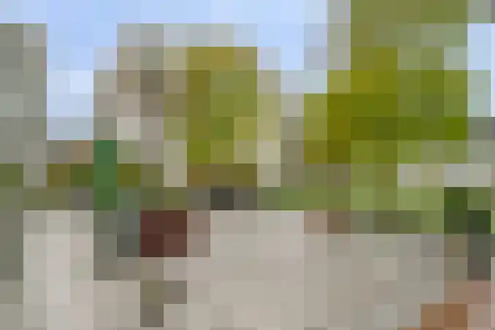 Lies de Kruijffgaarde 16 Nuenen thumbnail 24