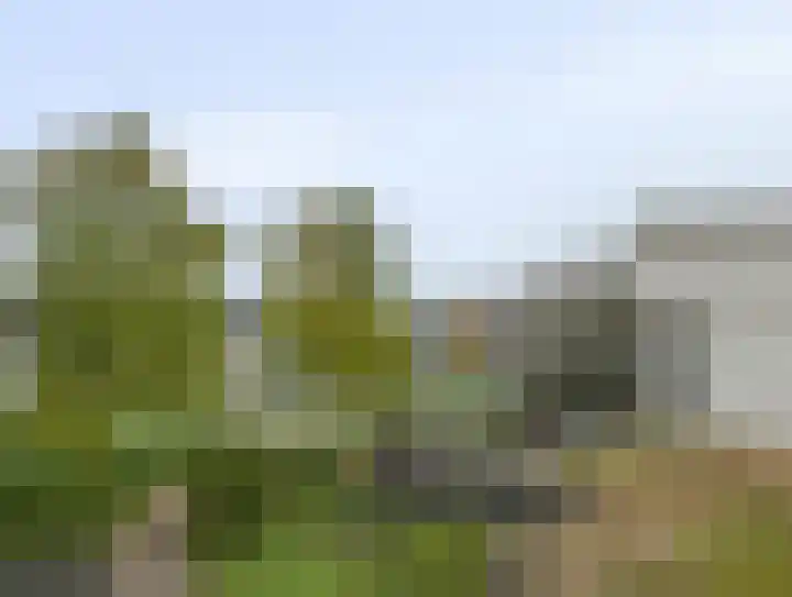 Lies de Kruijffgaarde 16 Nuenen thumbnail 27