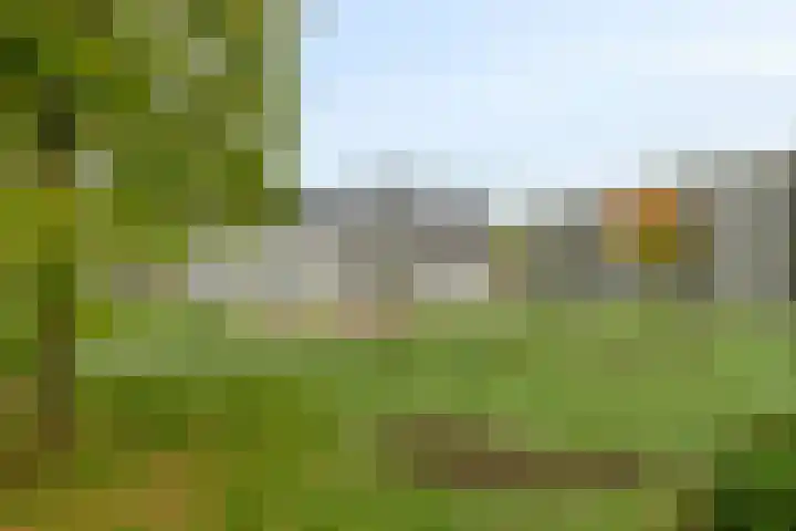 Lies de Kruijffgaarde 16 Nuenen thumbnail 29