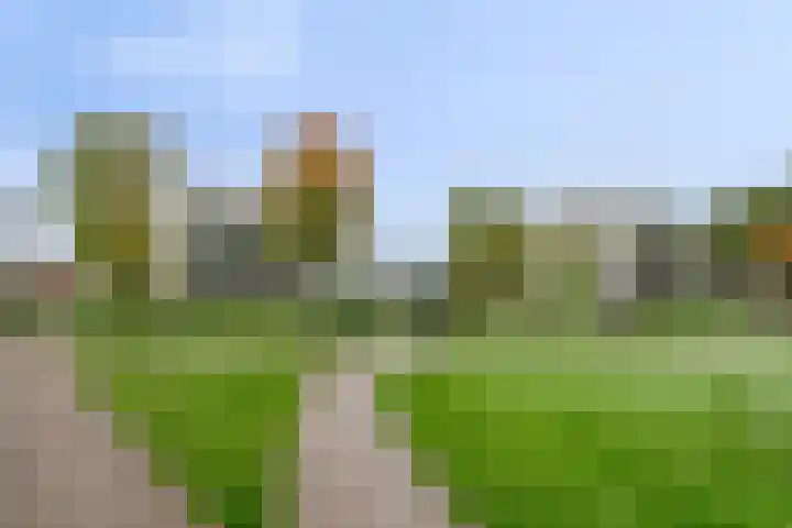 Lies de Kruijffgaarde 16 Nuenen thumbnail 32