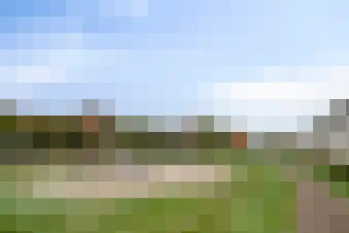 Lies de Kruijffgaarde 16 Nuenen thumbnail 36