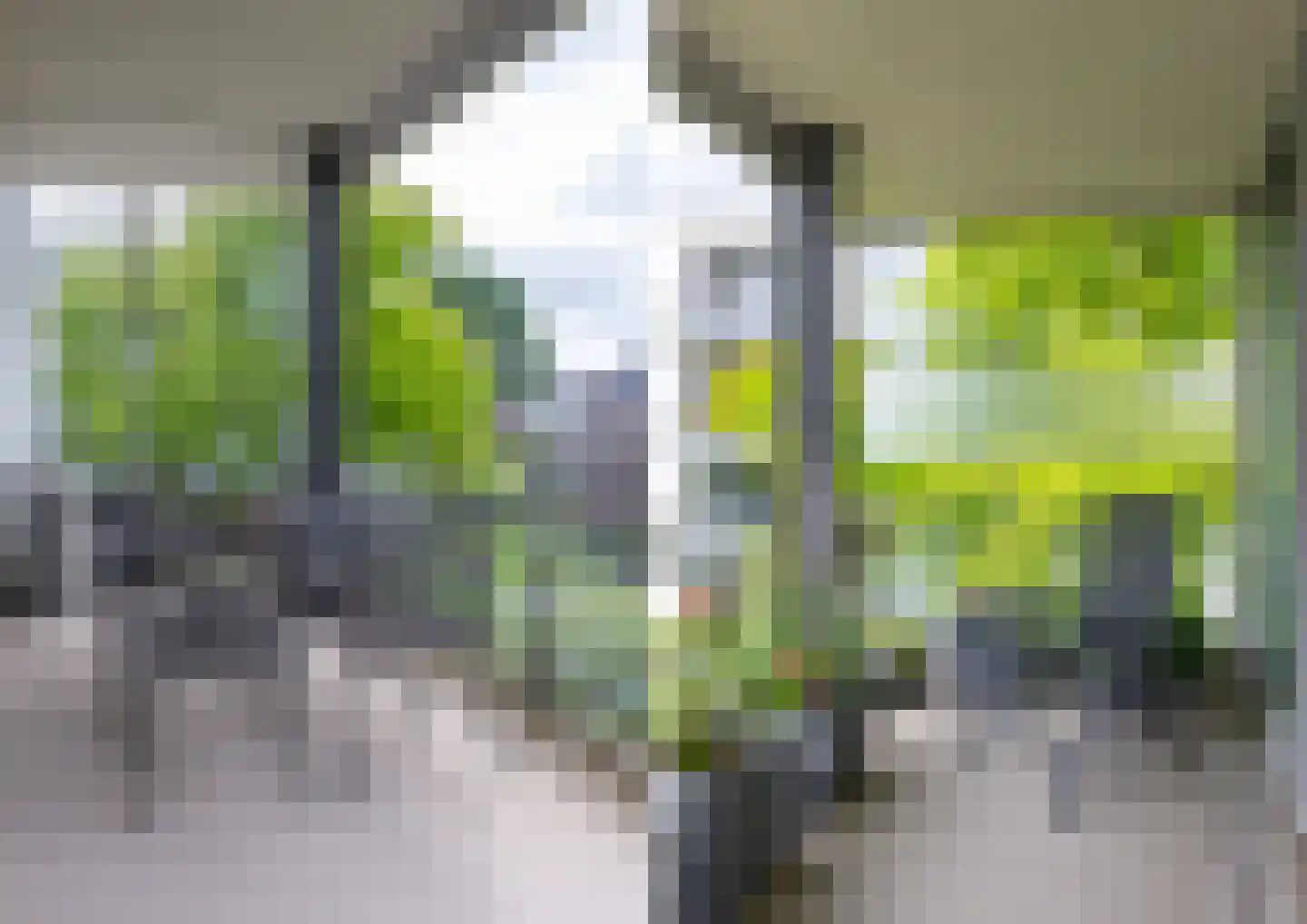 Lies de Kruijffgaarde 22 Nuenen thumbnail 28