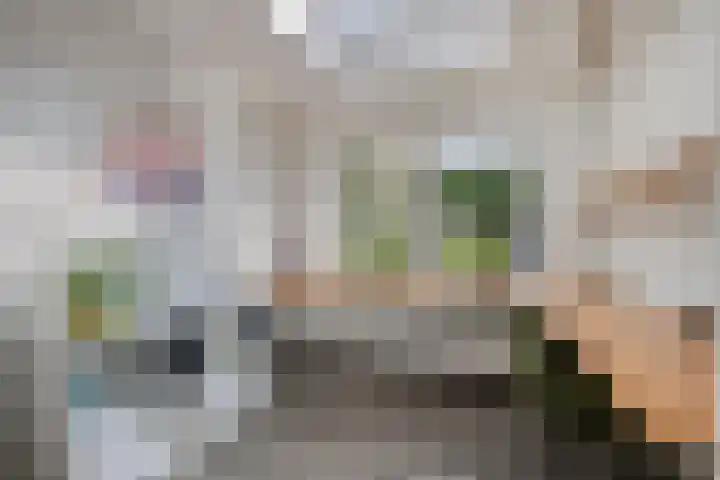 Liesberg 31 Someren thumbnail 18