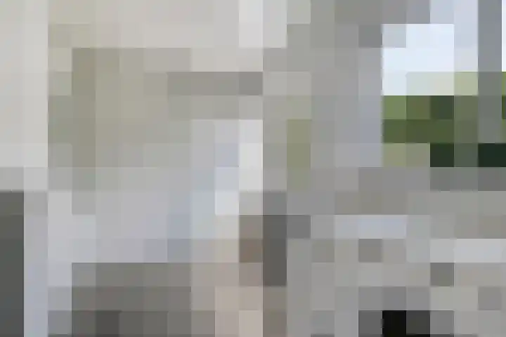 Liesberg 31 Someren thumbnail 23