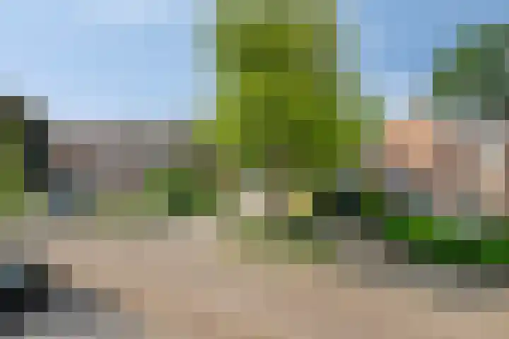 Liesberg 31 Someren thumbnail 30