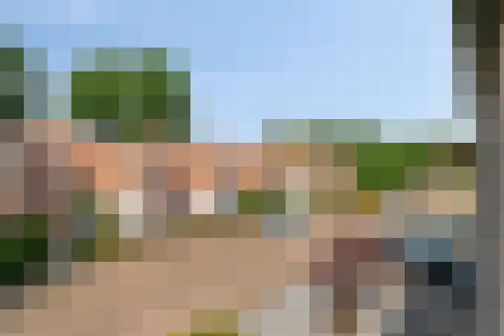 Liesberg 31 Someren thumbnail 31