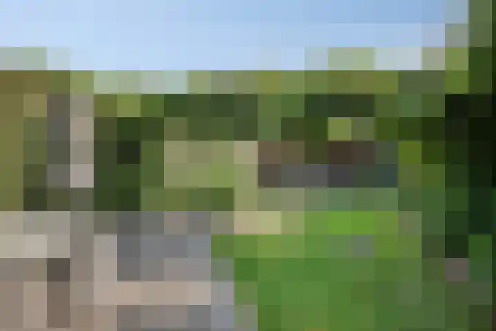 Liesberg 31 Someren thumbnail 44