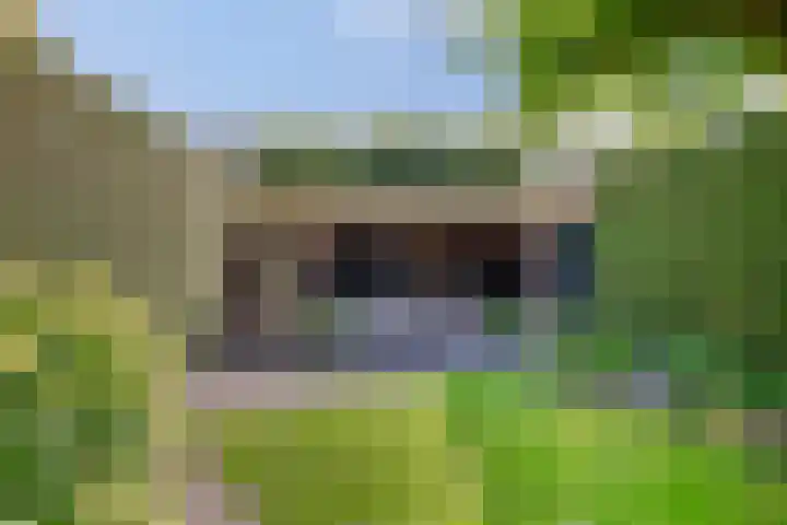 Liesberg 31 Someren thumbnail 46