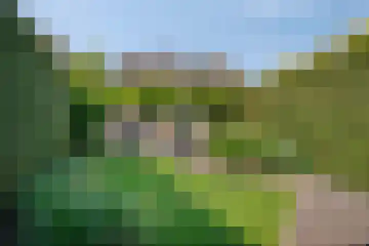 Liesberg 31 Someren thumbnail 48