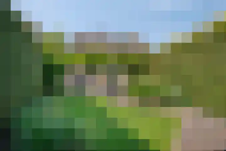 Liesberg 31 Someren thumbnail 5