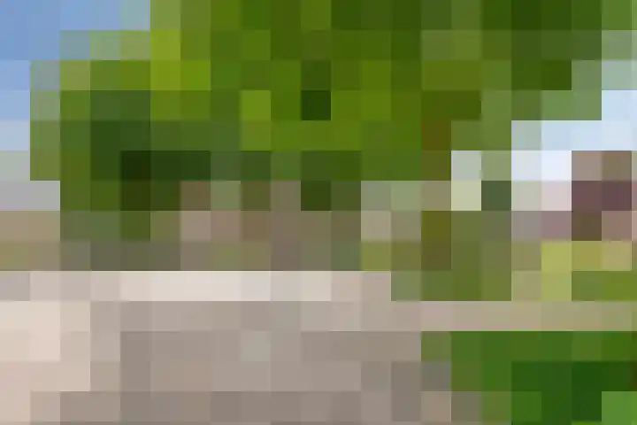 Liesberg 31 Someren thumbnail 50