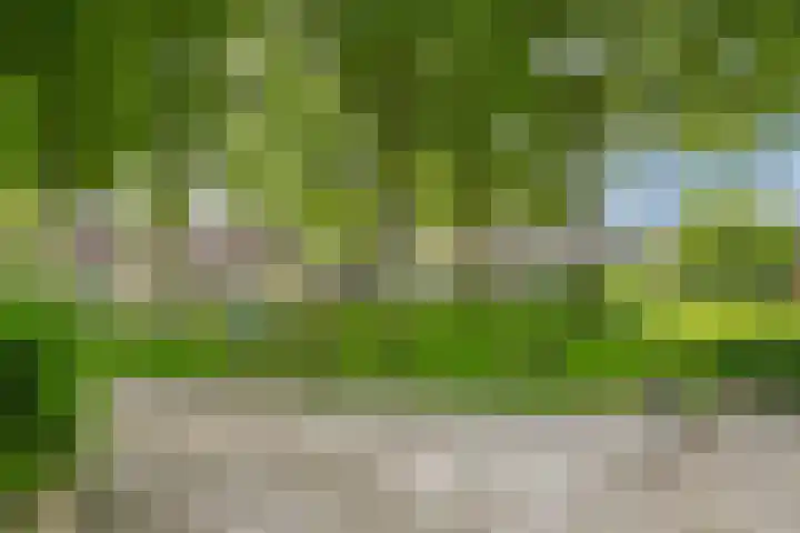 Liesberg 31 Someren thumbnail 51
