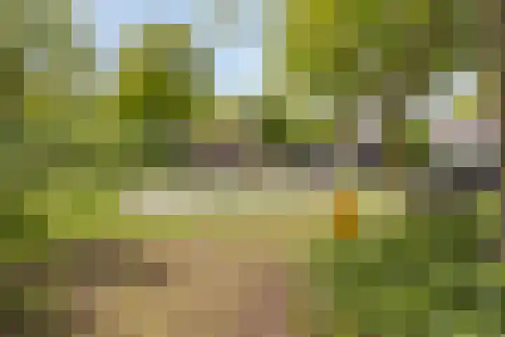 Liesberg 32 Someren thumbnail 36