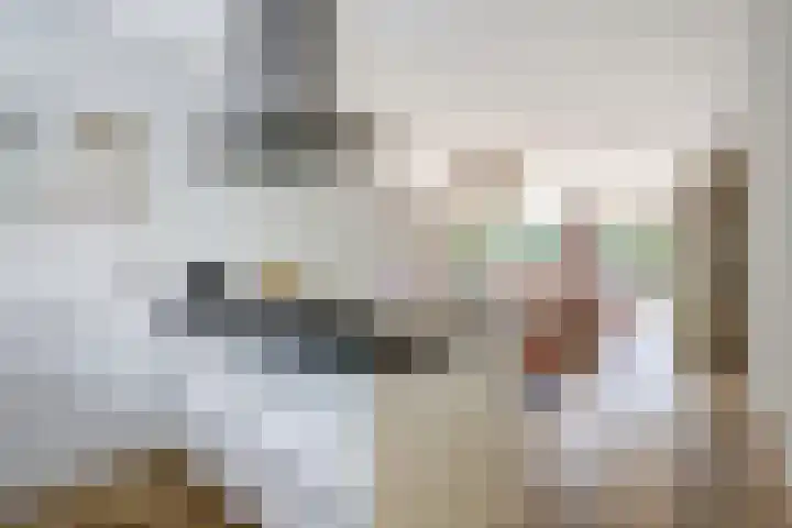 Liesbergerhout 1 Harderwijk thumbnail 17