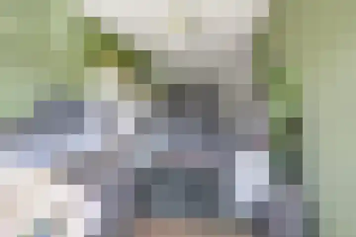 Liesbergerhout 1 Harderwijk thumbnail 26