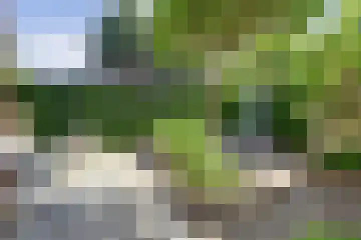 Liesbergerhout 1 Harderwijk thumbnail 37