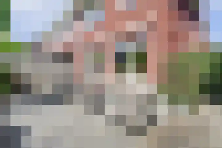 Liesbergerhout 1 Harderwijk thumbnail 39