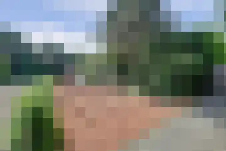 Liesbergerhout 1 Harderwijk thumbnail 43