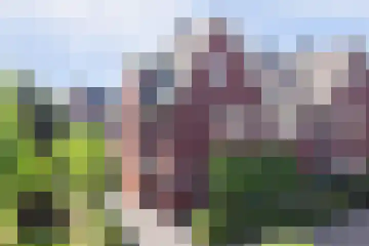 Liesbergerhout 1 Harderwijk thumbnail 44
