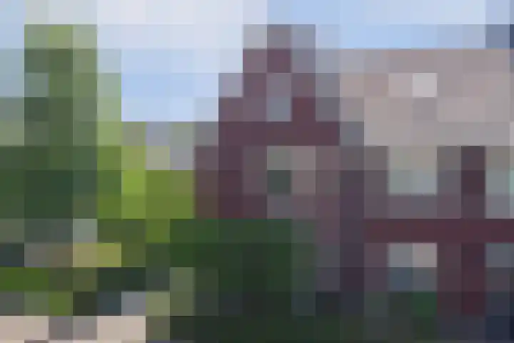 Liesbergerhout 1 Harderwijk thumbnail 45