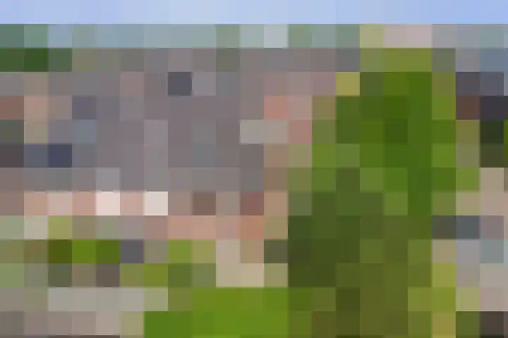 Liesbergerhout 1 Harderwijk thumbnail 47