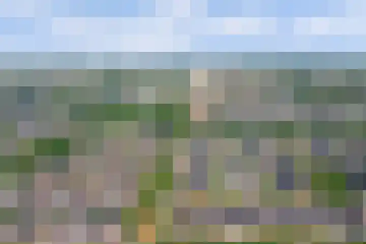 Liesbergerhout 1 Harderwijk thumbnail 48