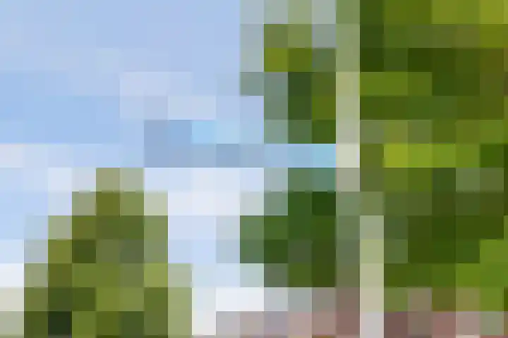 Liesbergerhout 1 Harderwijk thumbnail 5