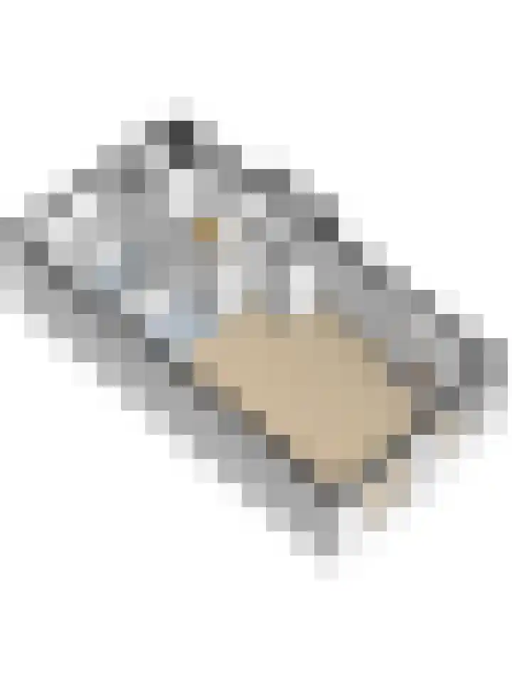 Liesbergerhout 1 Harderwijk thumbnail 50