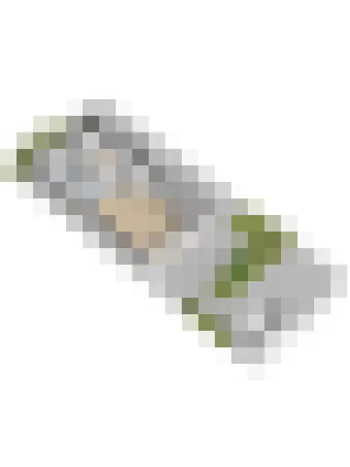 Liesbergerhout 1 Harderwijk thumbnail 57