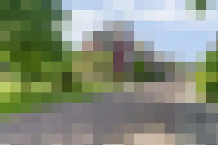 Liesbergerhout 1 Harderwijk thumbnail 6