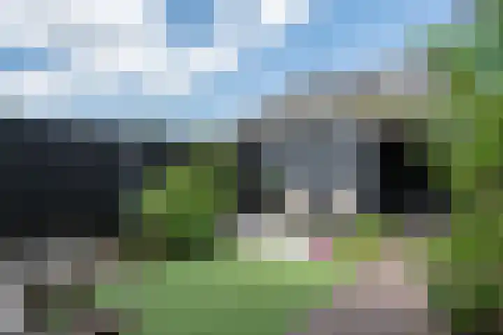 Liesbergerhout 29 Harderwijk thumbnail 33