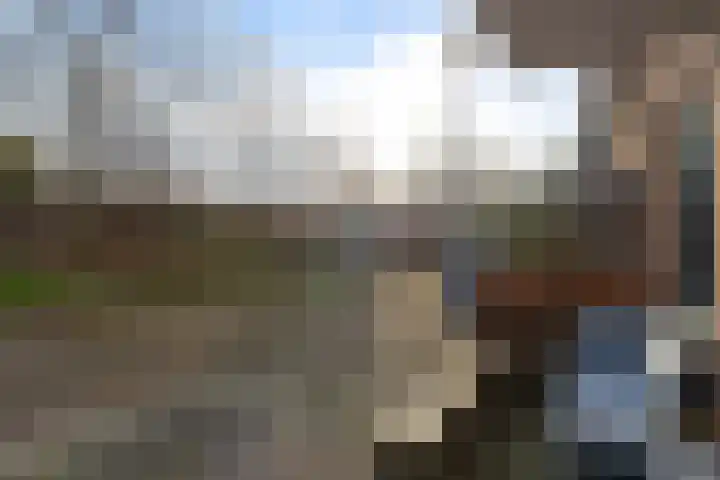 Liesbergerhout 31 Harderwijk thumbnail 6