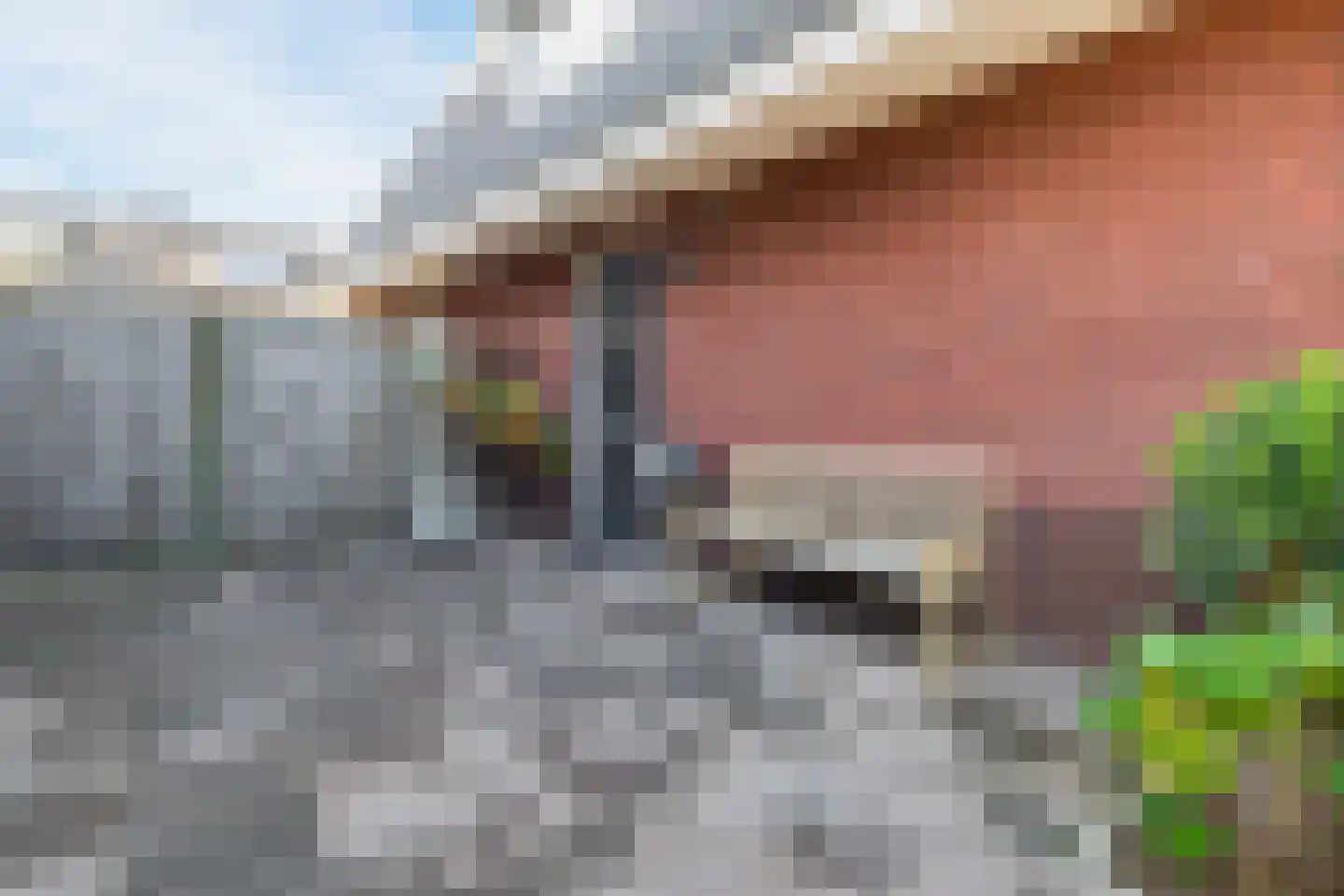 Liesbergerhout 37 Harderwijk thumbnail 5