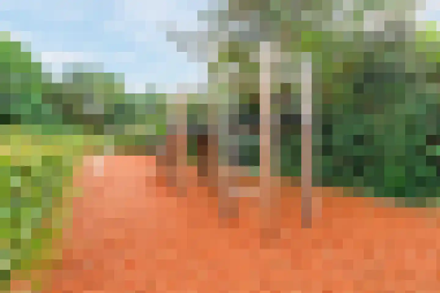 Liesbergerhout 37 Harderwijk thumbnail 55