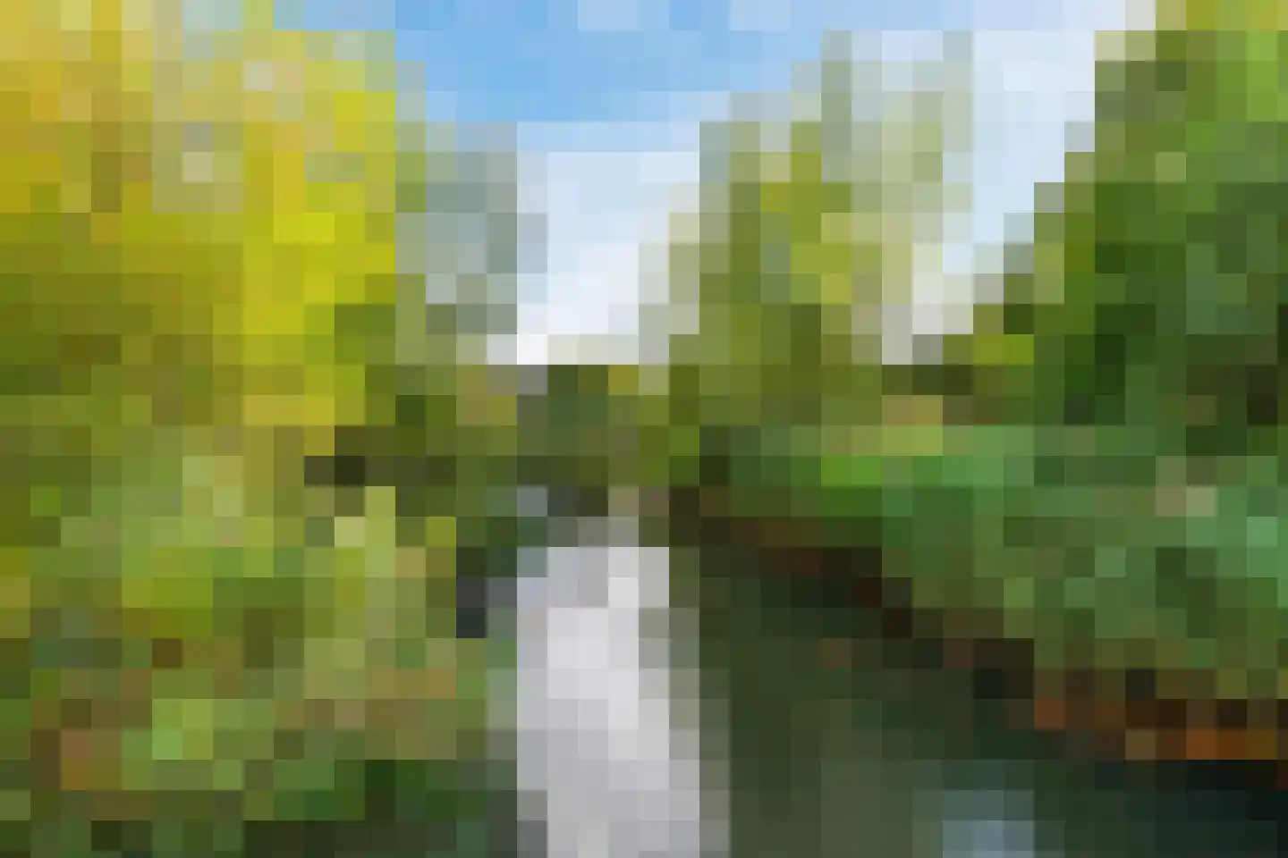 Liesbergerhout 37 Harderwijk thumbnail 57