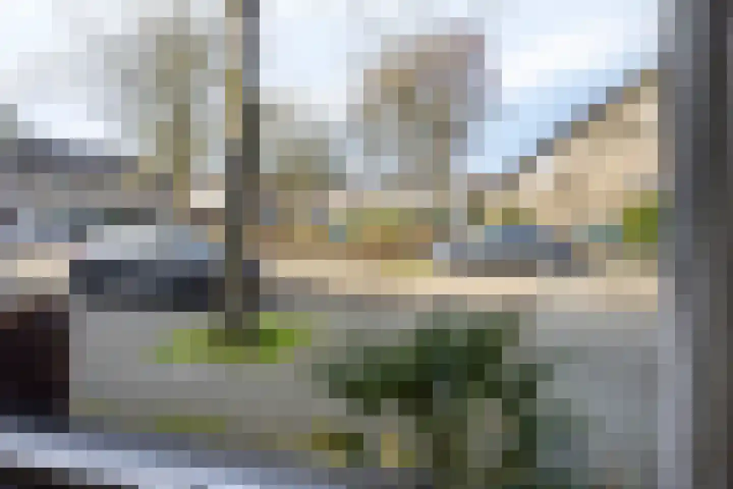 Liesbergstraat 19 Eindhoven thumbnail 10