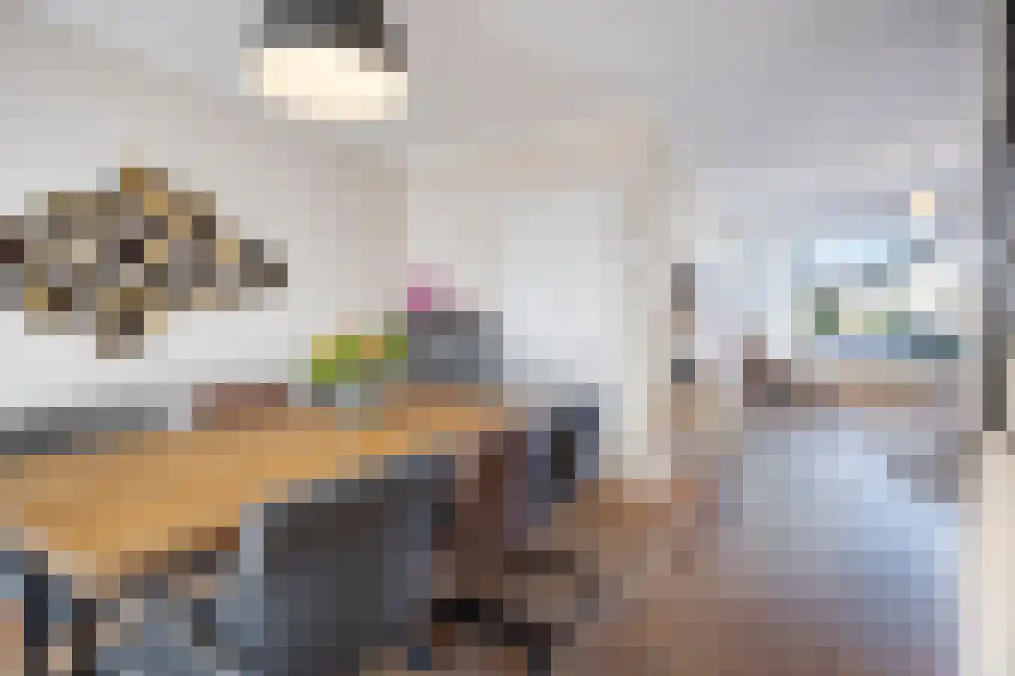 Liesbergstraat 19 Eindhoven thumbnail 11