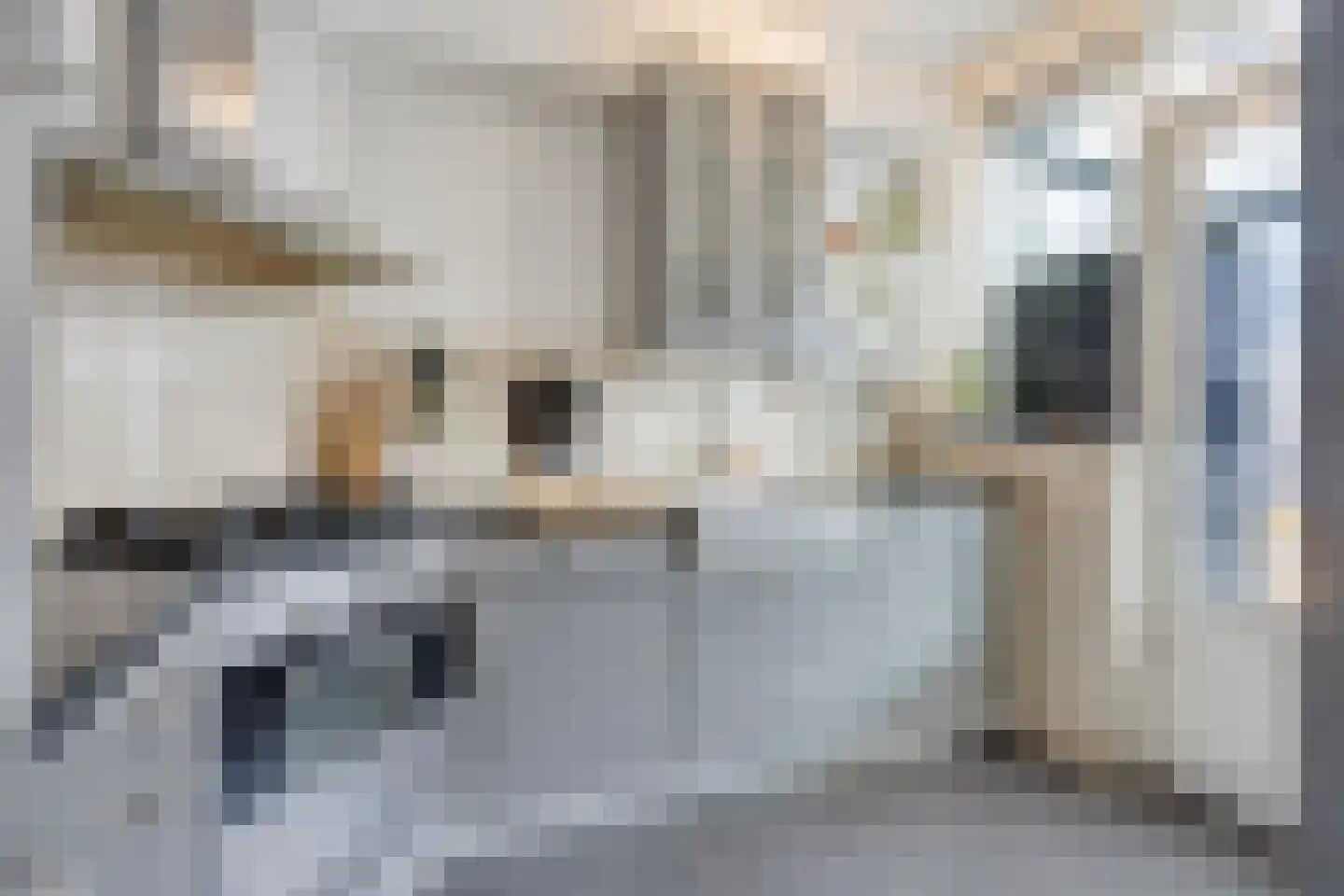 Liesbergstraat 19 Eindhoven thumbnail 19