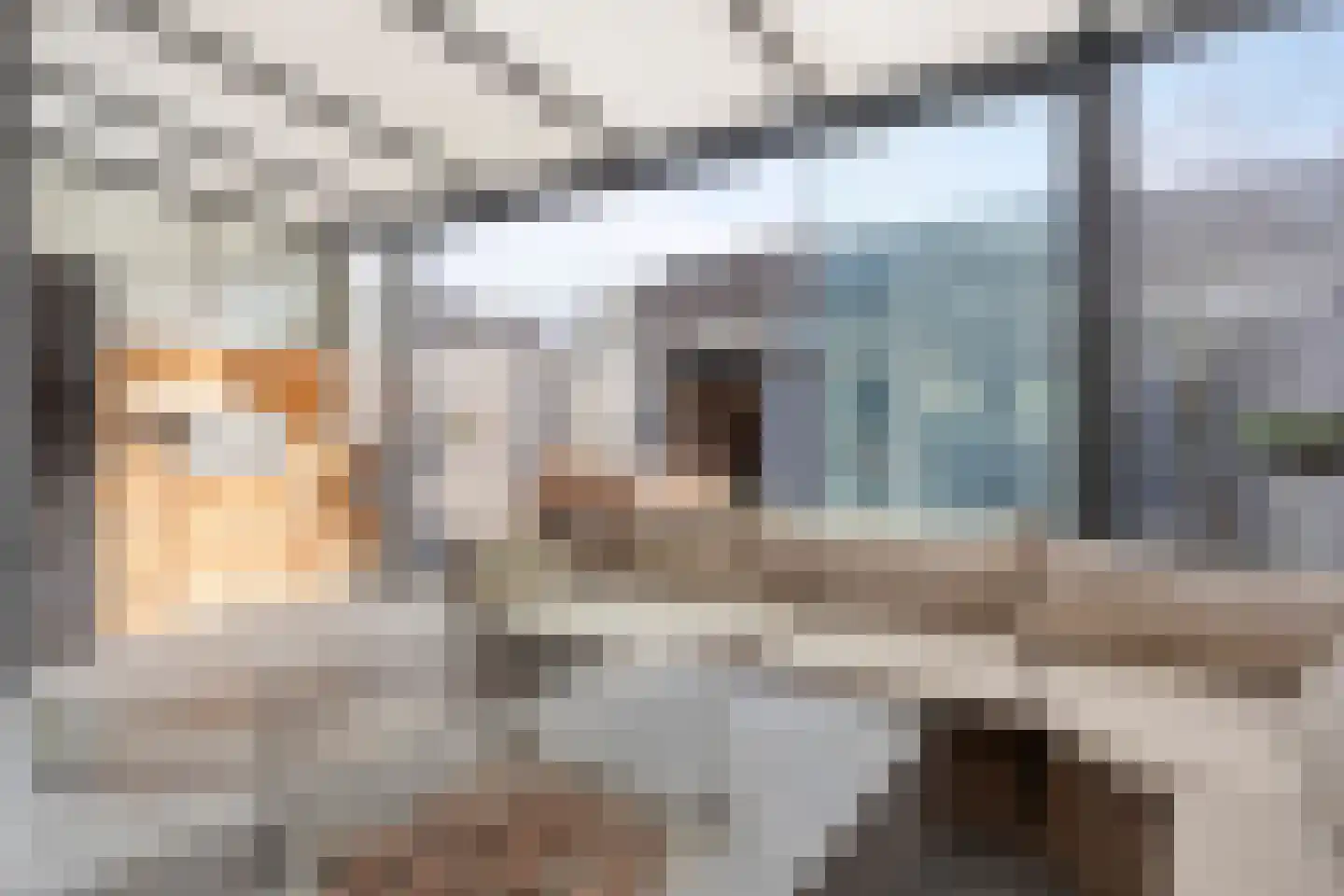Liesbergstraat 19 Eindhoven thumbnail 39