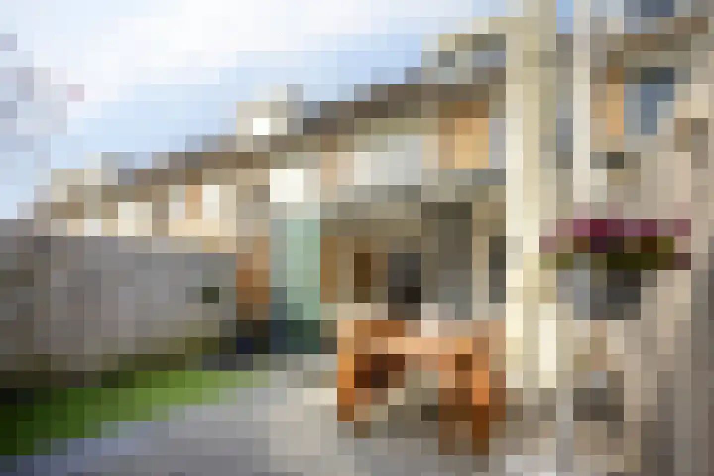 Liesbergstraat 19 Eindhoven thumbnail 44