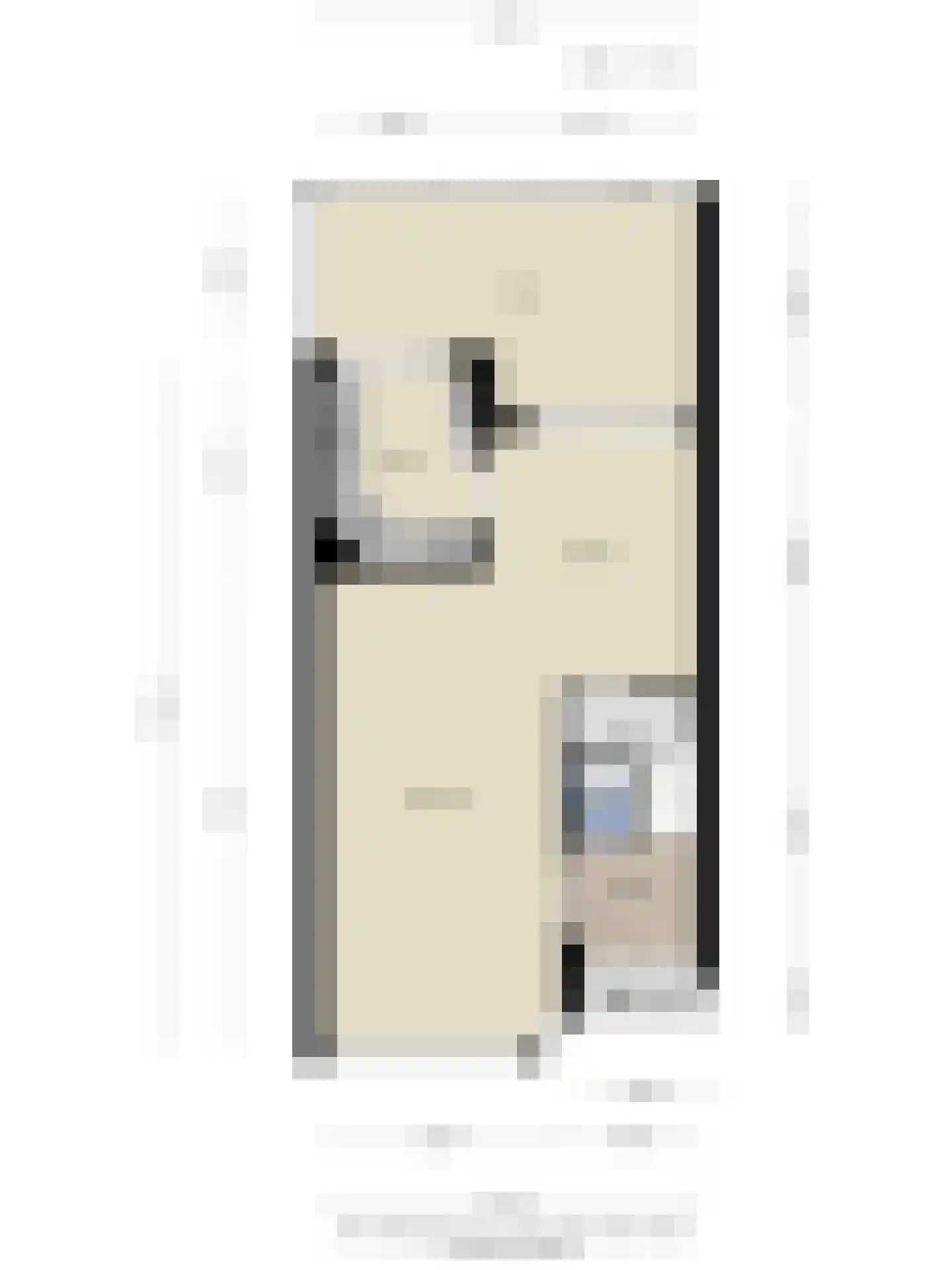 Liesbergstraat 19 Eindhoven thumbnail 50